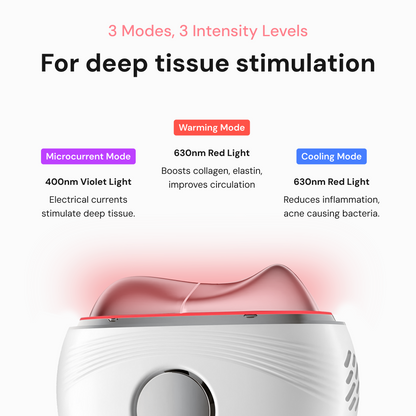 VitaLift Pro Series 4, Age Reverse Microcurrent Gua Sha - BodyVital ∙ Skin and Beauty